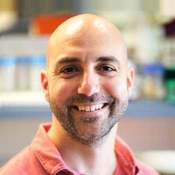 Photo of Dr. Leon Anavy