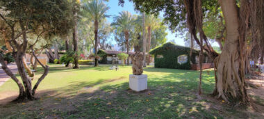 Picture 2 of PICTURE GALLERY