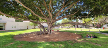 Picture 9 of PICTURE GALLERY