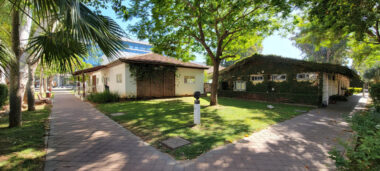 Picture 3 of PICTURE GALLERY