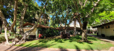 Picture 7 of PICTURE GALLERY